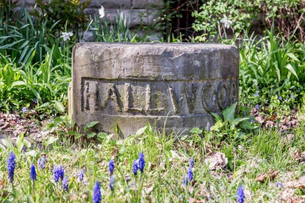 776-778 Franklin Ave. Hallwood House 776-778 Franklin Ave. Hallwood House