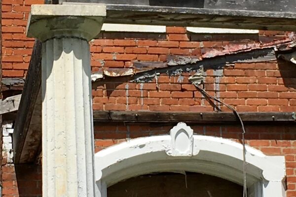 IMG_4781 IMG_4781
