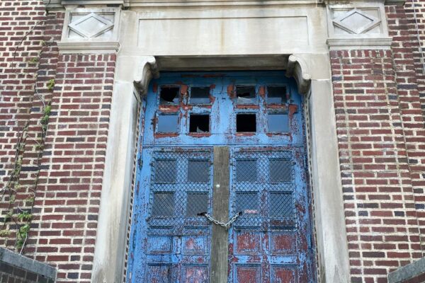 IMG_4950 IMG_4950