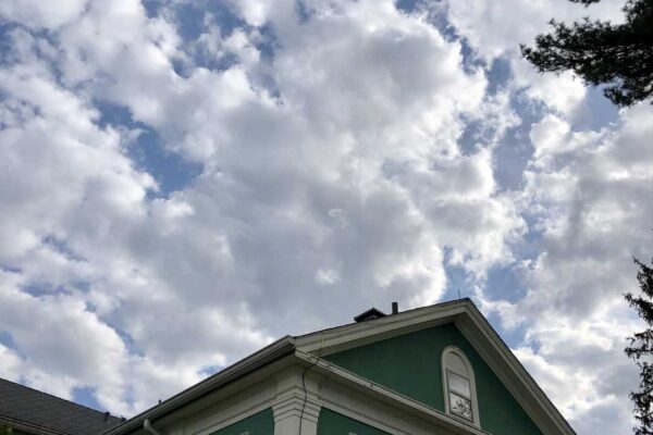 IMG_1361 copy IMG_1361 copy