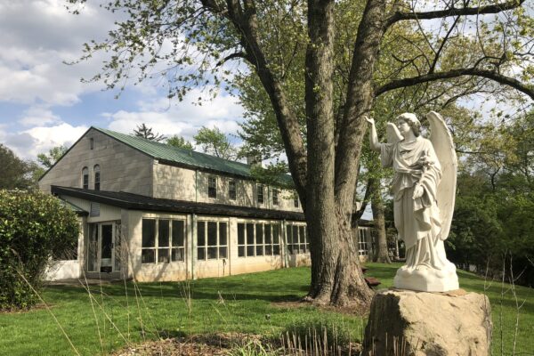 IMG_7625 copy IMG_7625 copy