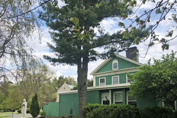 IMG_7632 copy IMG_7632 copy