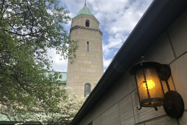 IMG_7664 copy IMG_7664 copy