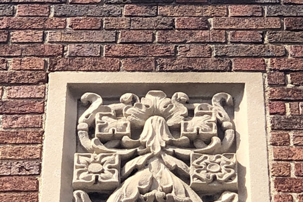 YMCA IMG_7695 YMCA IMG_7695