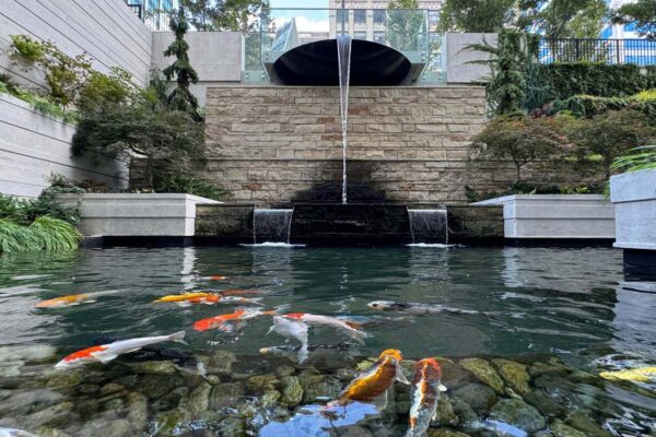 Preston Centre-05 Preston Centre-05